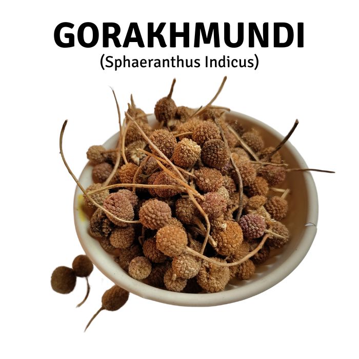 Gorakhmundi (Sphaeranthus indicus) Tea 50g